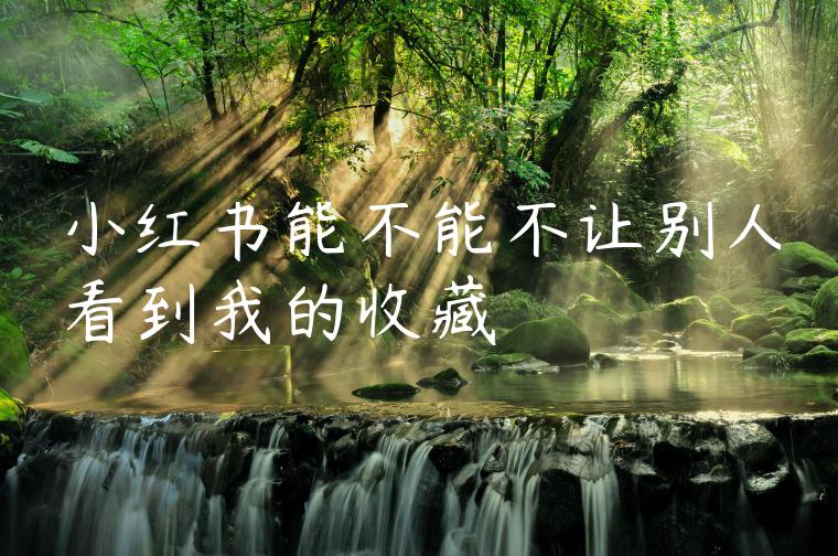 小红书能不能不让别人看到我的收藏