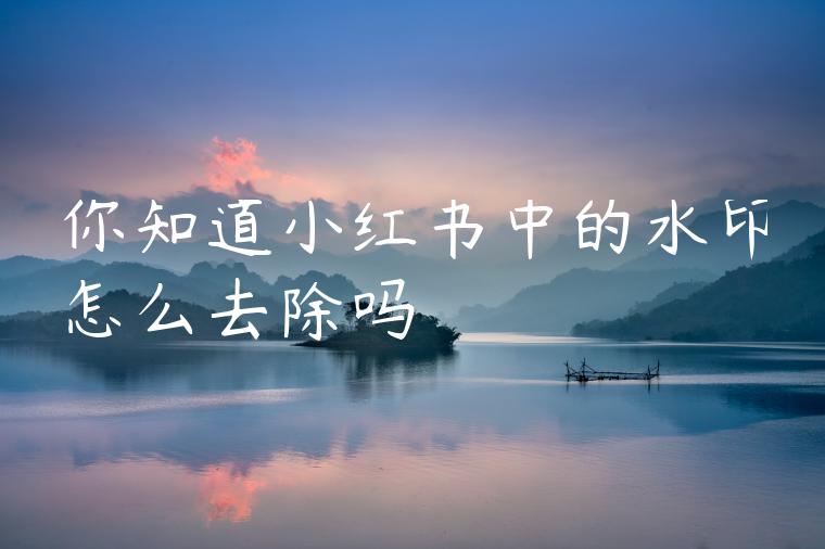 你知道小红书中的水印怎么去除吗 你知道小红书中的水印怎么去除吗