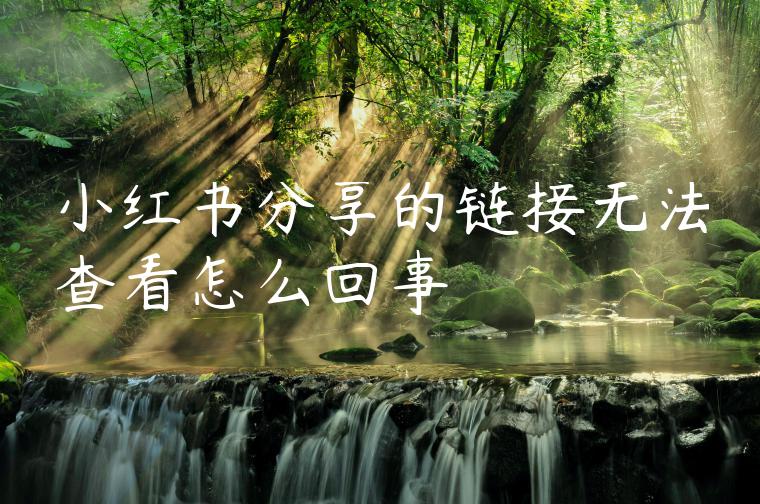 小红书分享的链接无法查看怎么回事