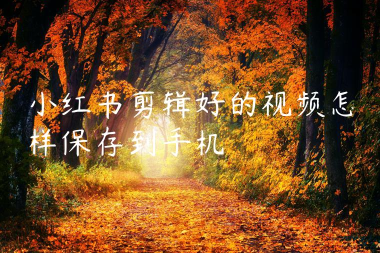 小红书剪辑好的视频怎样保存到手机 小红书剪辑好的视频怎样保存到手机