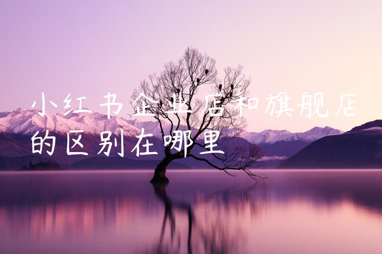 小红书企业店和旗舰店的区别在哪里