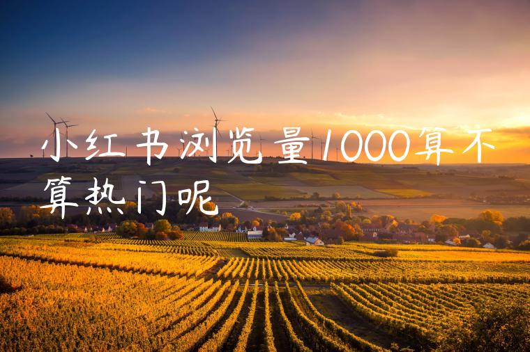 小红书浏览量1000算不算热门呢