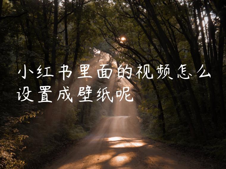 小红书里面的视频怎么设置成壁纸呢 小红书里面的视频怎么设置成壁纸呢