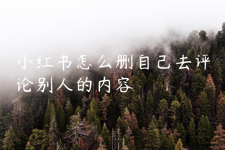 小红书怎么删自己去评论别人的内容