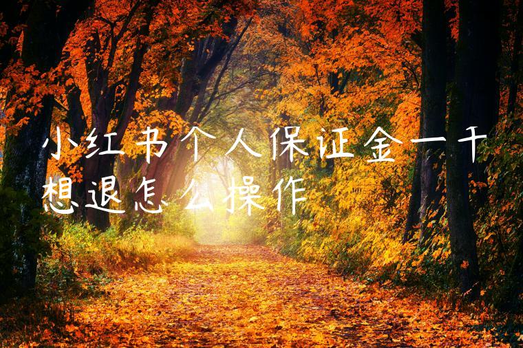 小红书个人保证金一千想退怎么操作