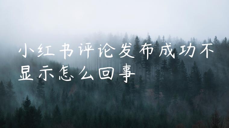 小红书评论发布成功不显示怎么回事