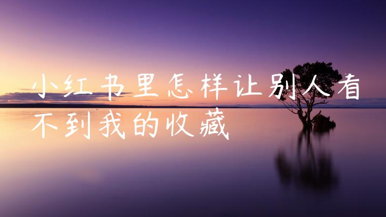 小红书里怎样让别人看不到我的收藏 小红书里怎样让别人看不到我的收藏