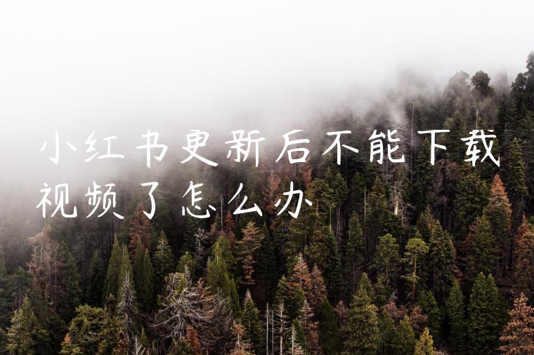 小红书更新后不能下载视频了怎么办