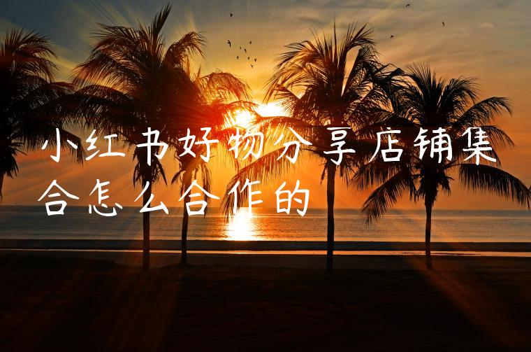 小红书好物分享店铺集合怎么合作的