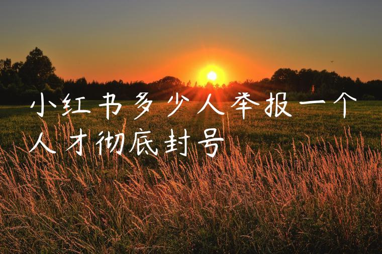 小红书多少人举报一个人才彻底封号 小红书多少人举报一个人才彻底封号