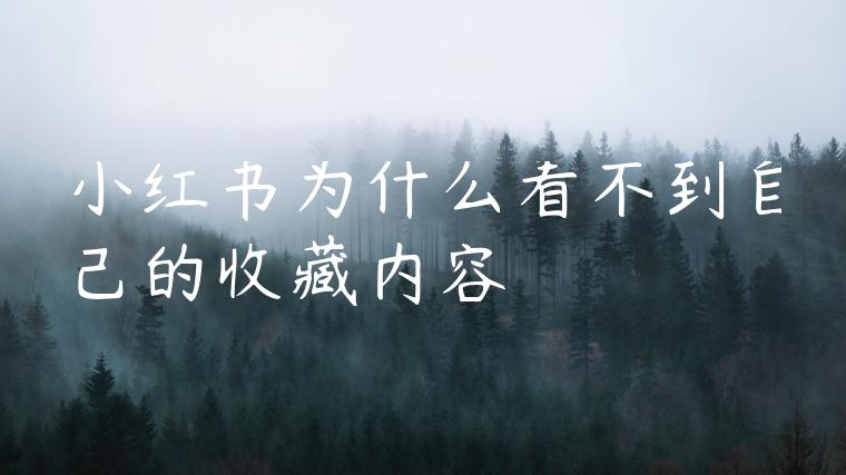 小红书为什么看不到自己的收藏内容 小红书为什么看不到自己的收藏内容