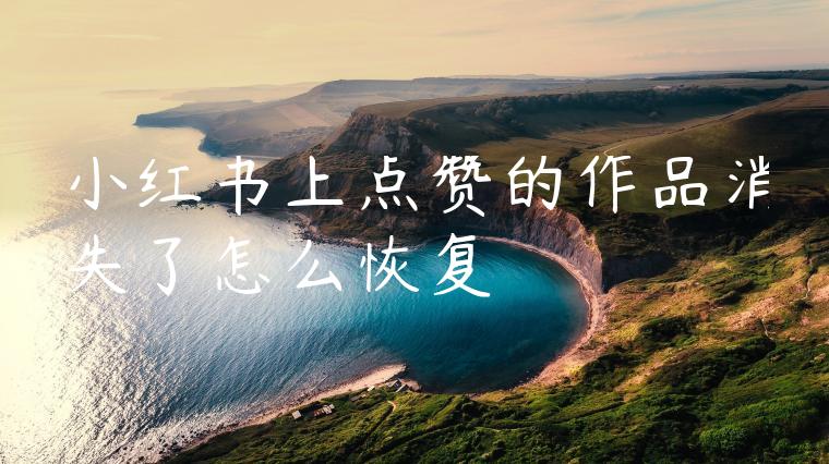 小红书上点赞的作品消失了怎么恢复