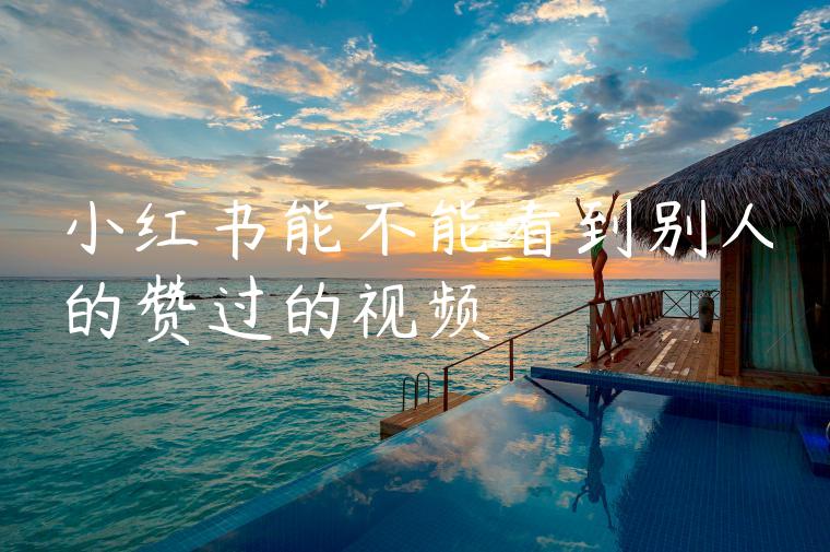 小红书能不能看到别人的赞过的视频