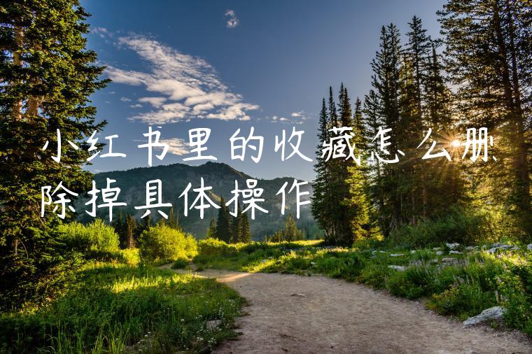 小红书里的收藏怎么删除掉具体操作