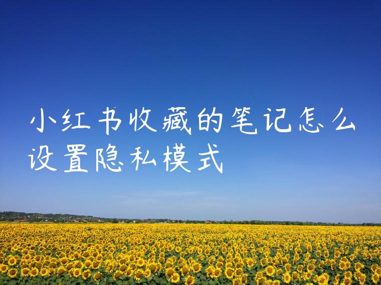 小红书收藏的笔记怎么设置隐私模式