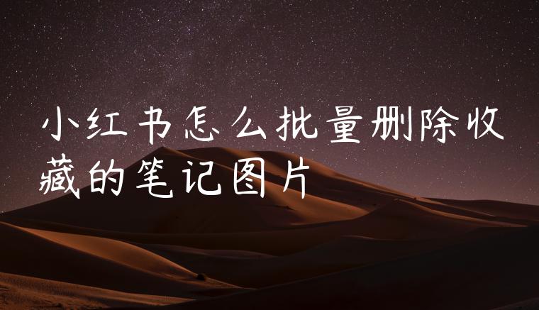 小红书怎么批量删除收藏的笔记图片