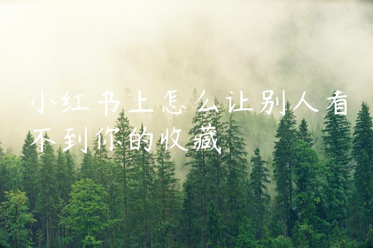 小红书上怎么让别人看不到你的收藏