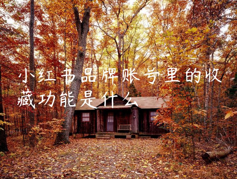 小红书品牌账号里的收藏功能是什么