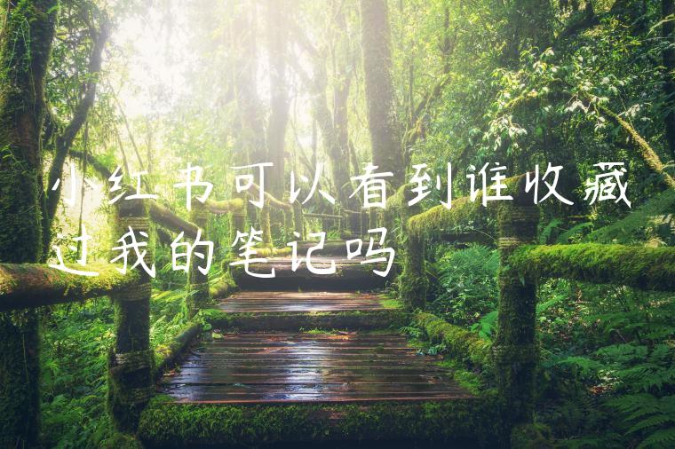 小红书可以看到谁收藏过我的笔记吗 小红书可以看到谁收藏过我的笔记吗