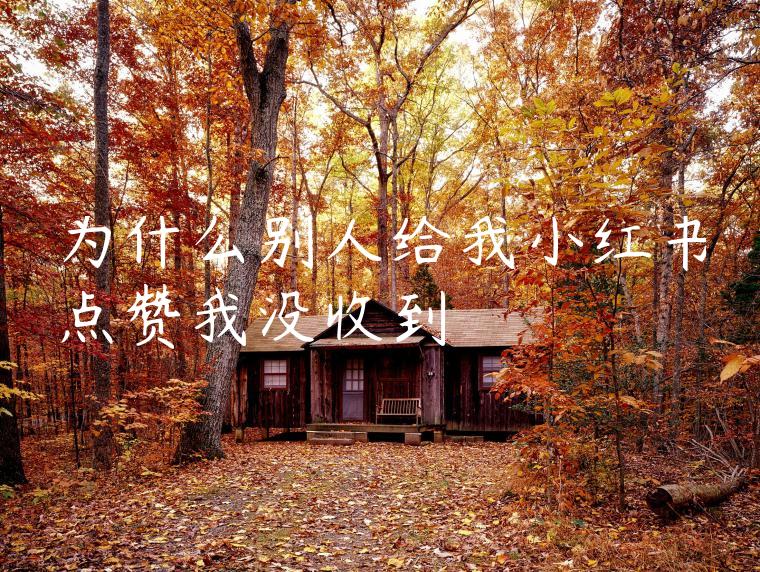 为什么别人给我小红书点赞我没收到