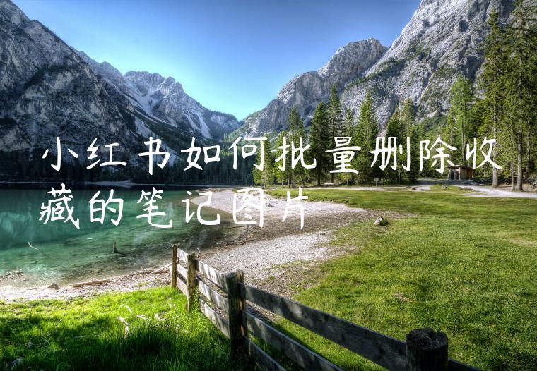 小红书如何批量删除收藏的笔记图片