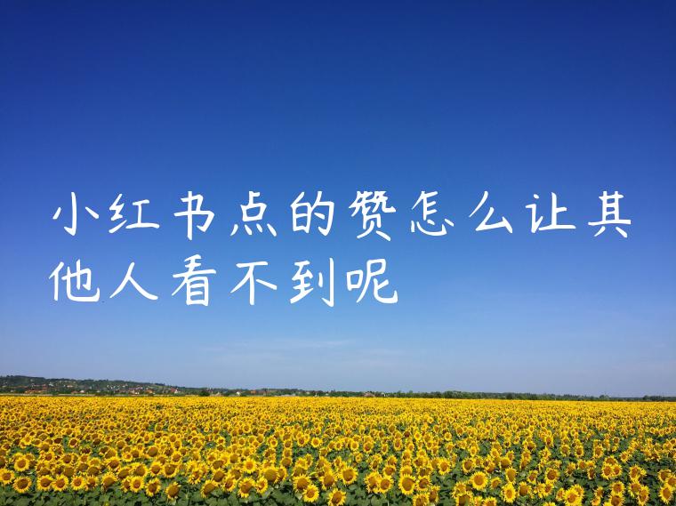 小红书点的赞怎么让其他人看不到呢 小红书点的赞怎么让其他人看不到呢