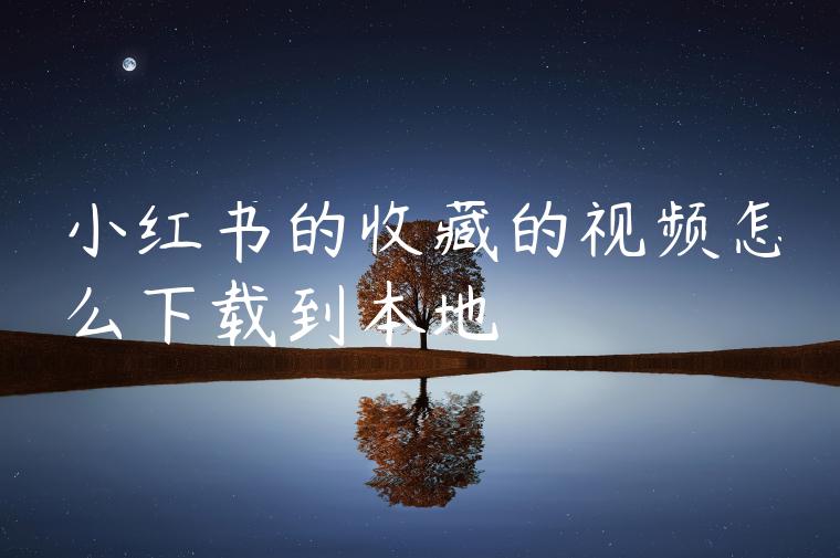 小红书的收藏的视频怎么下载到本地