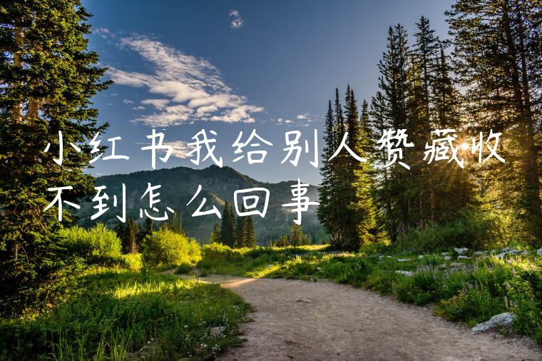 小红书我给别人赞藏收不到怎么回事 小红书我给别人赞藏收不到怎么回事