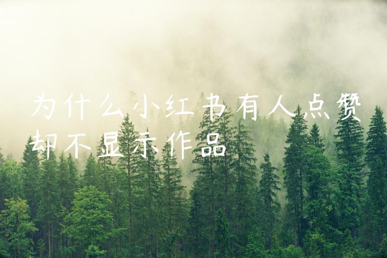 为什么小红书有人点赞却不显示作品 为什么小红书有人点赞却不显示作品
