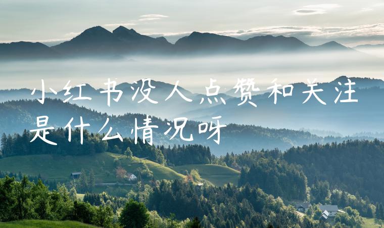 小红书没人点赞和关注是什么情况呀