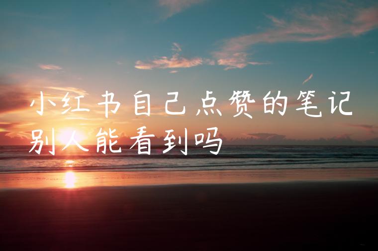 小红书自己点赞的笔记别人能看到吗