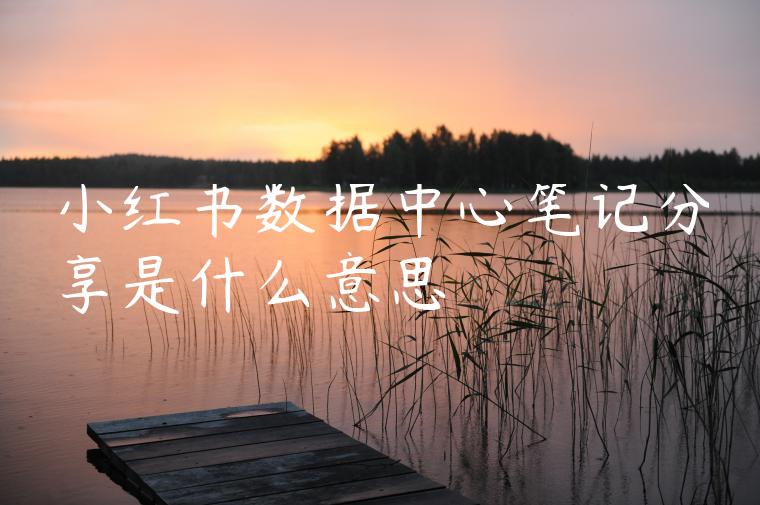 小红书数据中心笔记分享是什么意思