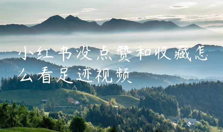 小红书没点赞和收藏怎么看足迹视频 小红书没点赞和收藏怎么看足迹视频