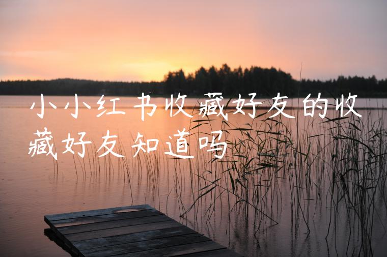 小小红书收藏好友的收藏好友知道吗