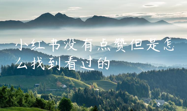 小红书没有点赞但是怎么找到看过的 小红书没有点赞但是怎么找到看过的