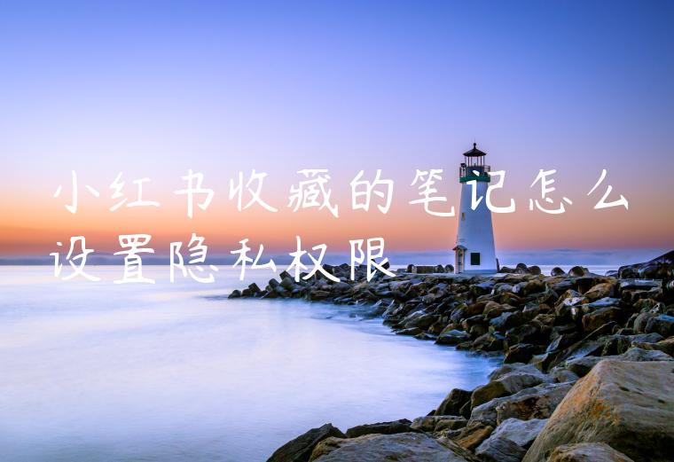 小红书收藏的笔记怎么设置隐私权限