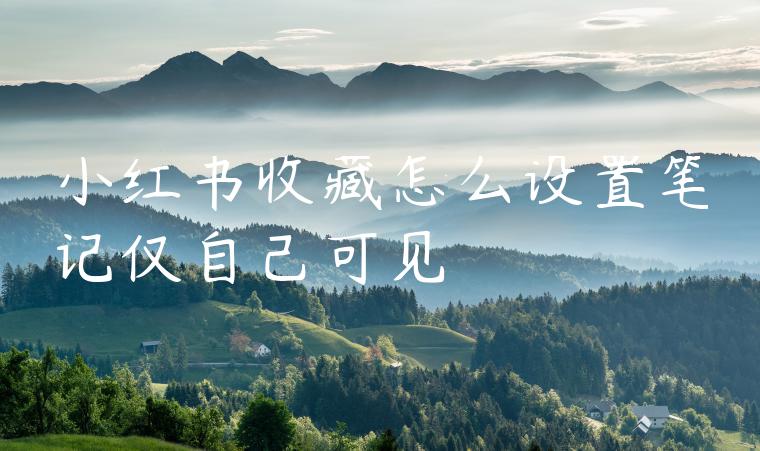 小红书收藏怎么设置笔记仅自己可见 小红书收藏怎么设置笔记仅自己可见