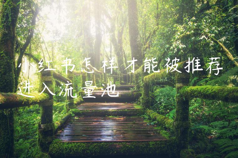小红书怎样才能被推荐进入流量池 小红书怎样才能被推荐进入流量池