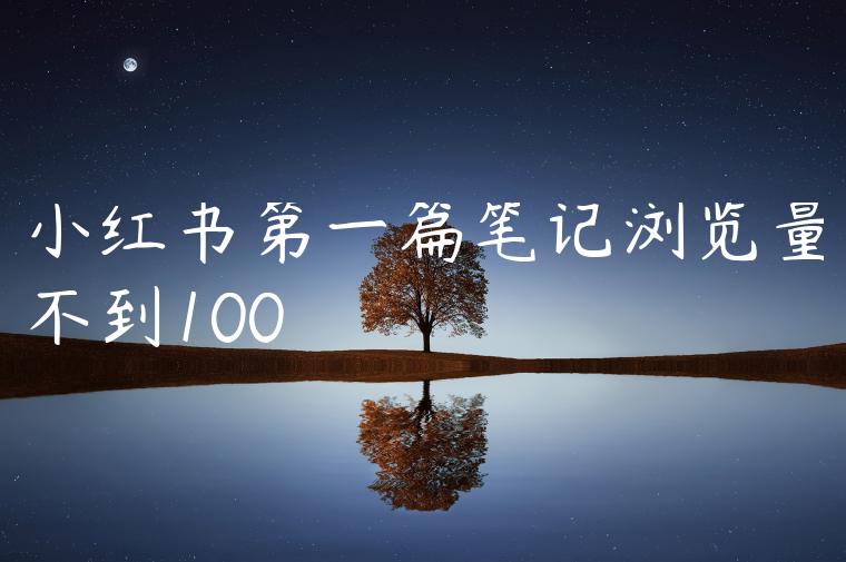 小红书第一篇笔记浏览量不到100