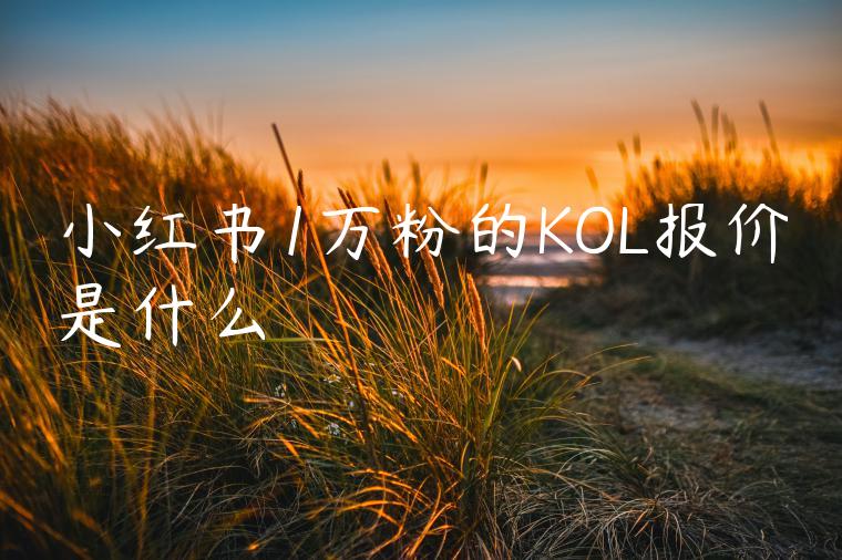 小红书1万粉的KOL报价是什么