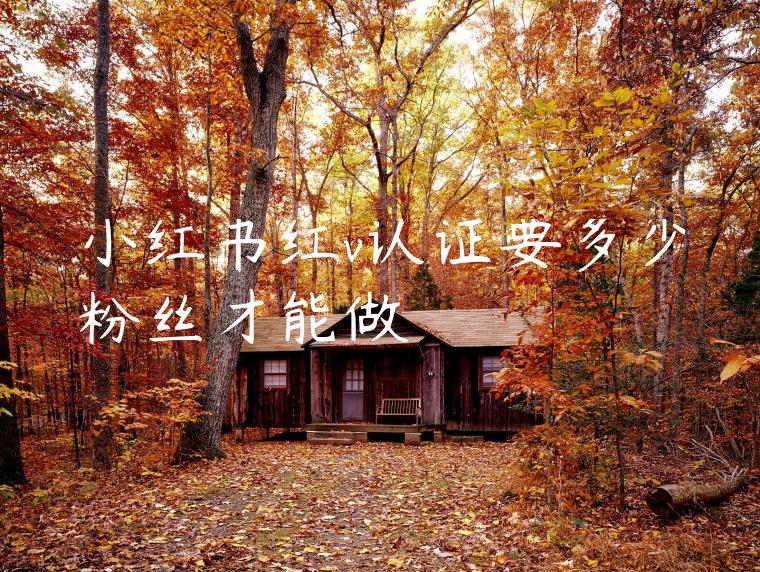 小红书红v认证要多少粉丝才能做