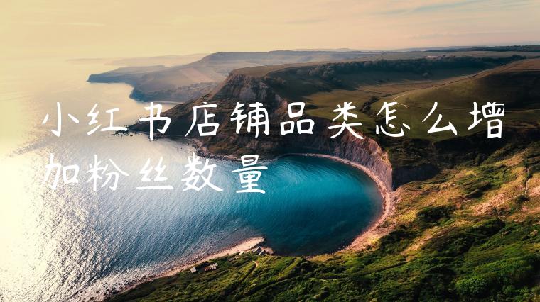 小红书店铺品类怎么增加粉丝数量