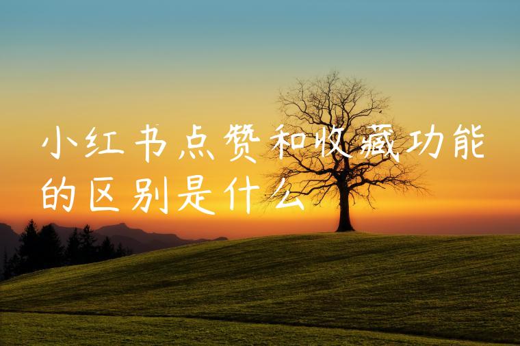 小红书点赞和收藏功能的区别是什么 小红书点赞和收藏功能的区别是什么