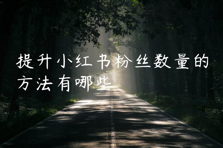 提升小红书粉丝数量的方法有哪些 提升小红书粉丝数量的方法有哪些