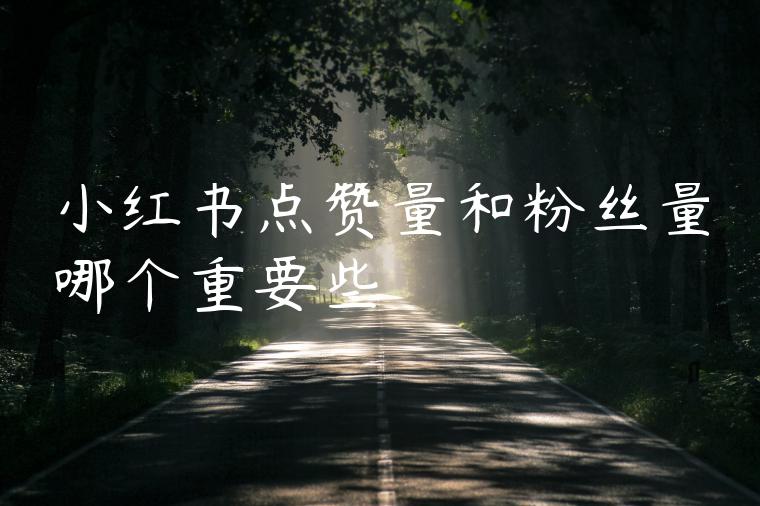 小红书点赞量和粉丝量哪个重要些
