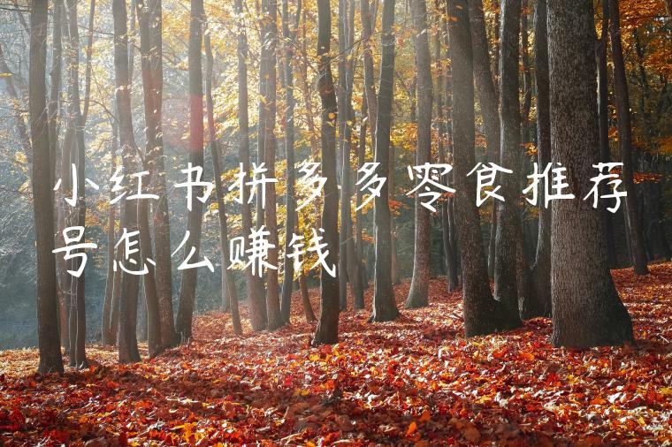 小红书拼多多零食推荐号怎么赚钱 小红书拼多多零食推荐号怎么赚钱