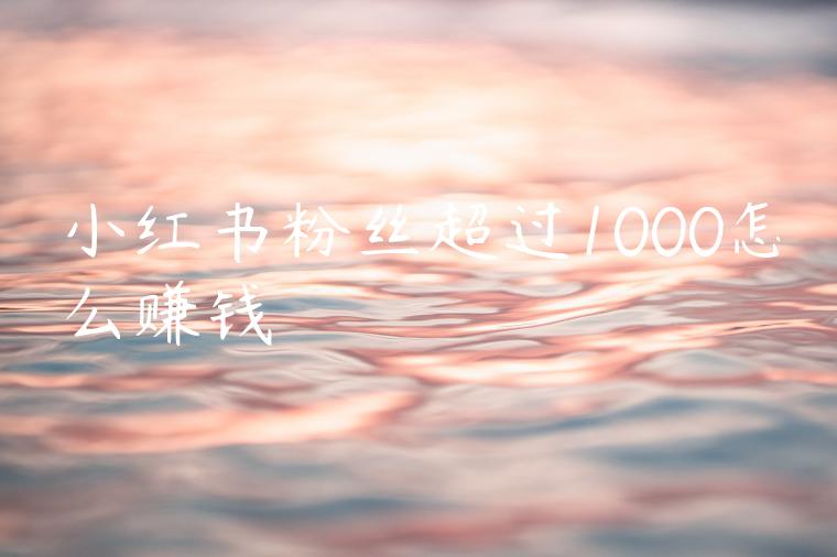 小红书粉丝超过1000怎么赚钱 小红书粉丝超过1000怎么赚钱