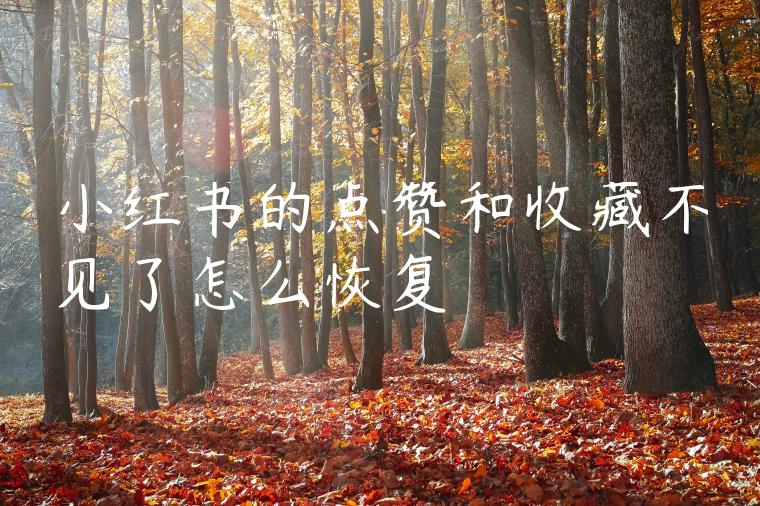 小红书的点赞和收藏不见了怎么恢复