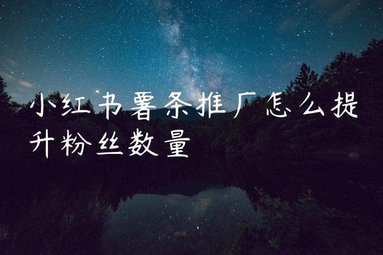 小红书薯条推广怎么提升粉丝数量