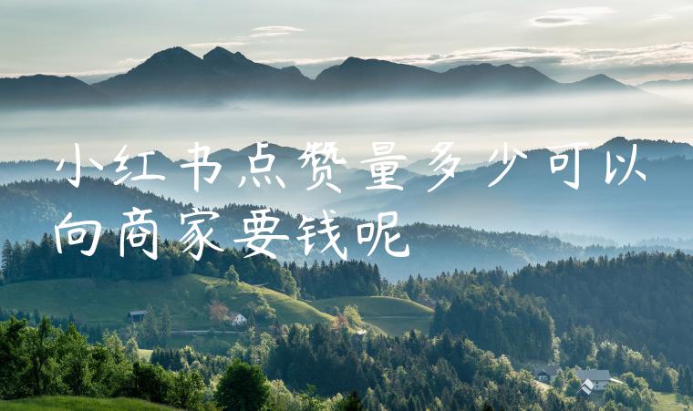 小红书点赞量多少可以向商家要钱呢